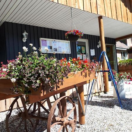 Bollingso Camping Engesvang Extérieur photo