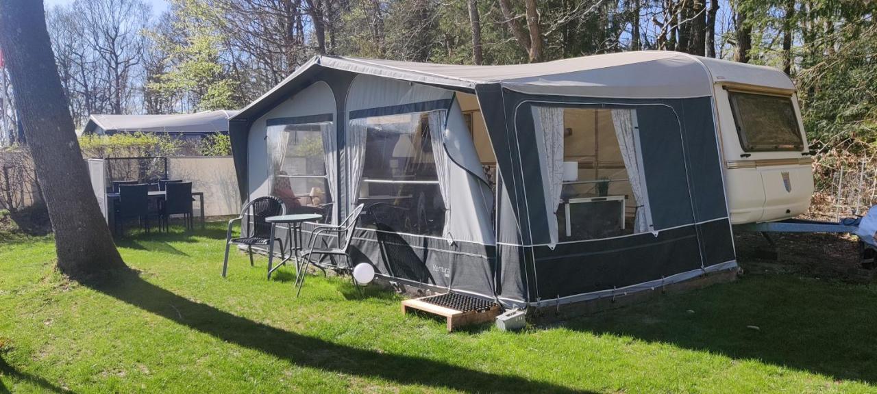 Bollingso Camping Engesvang Extérieur photo